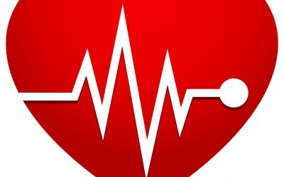 holtere EKG de vanzare