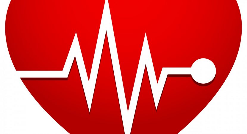 holtere EKG de vanzare