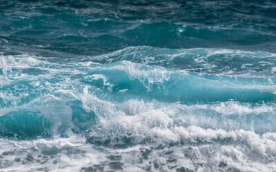 Marea Mediteraneană