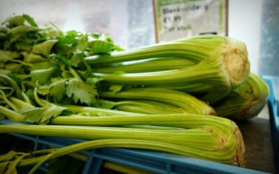 ulei semințe telină